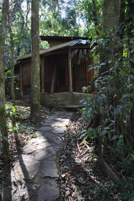 Hôtel Cabina Sol à Monteverde Extérieur photo